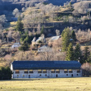 42907